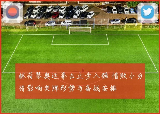 林荷琴奥运拳击止步八强 惜败小分将影响奖牌形势与备战安排